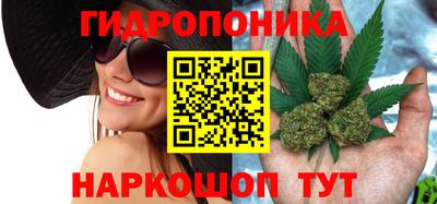 круглые Камышлов