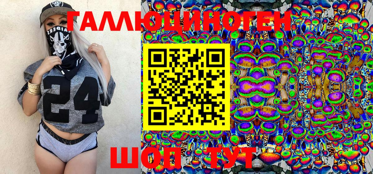 Волхов  Галлюциногенные грибы Psilocybe  Вход с VPN 