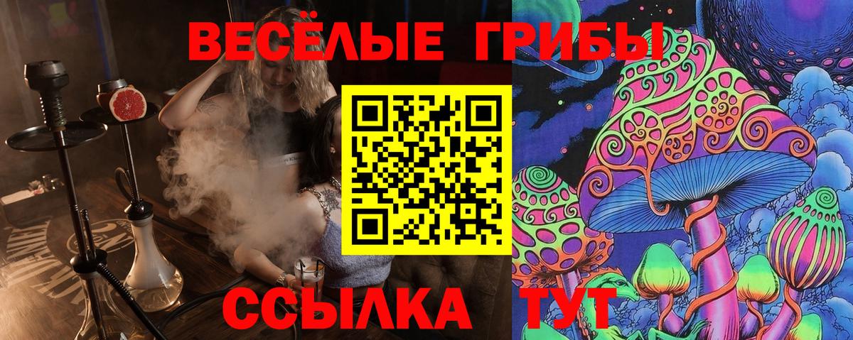 Псилоцибиновые грибы ЛСД Волхов